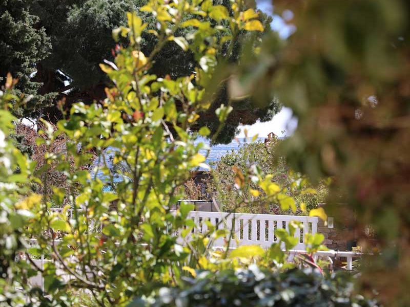 Hotel Lavandou - Grande chambre en Rez de jardin - Côté mer